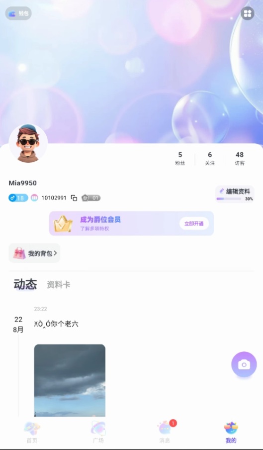 Voice ChatAPP截图2